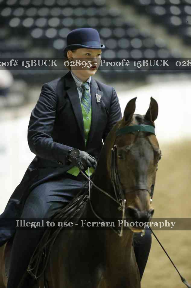 Proof 15BUCK_02895