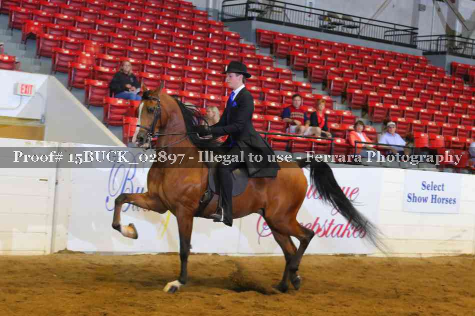 Proof 15BUCK_02897