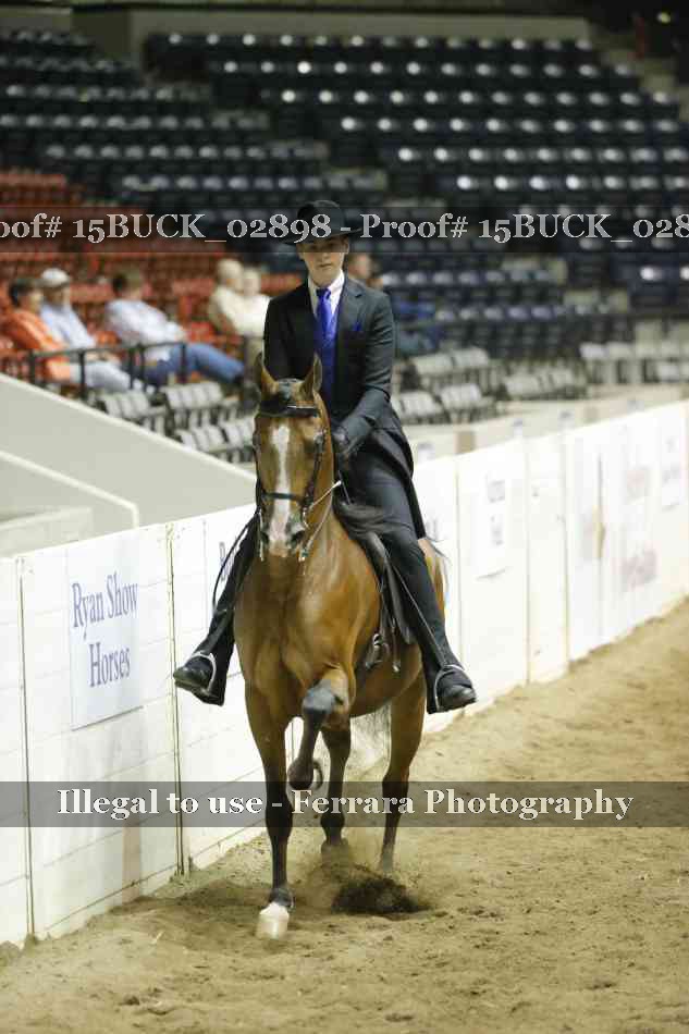 Proof 15BUCK_02898