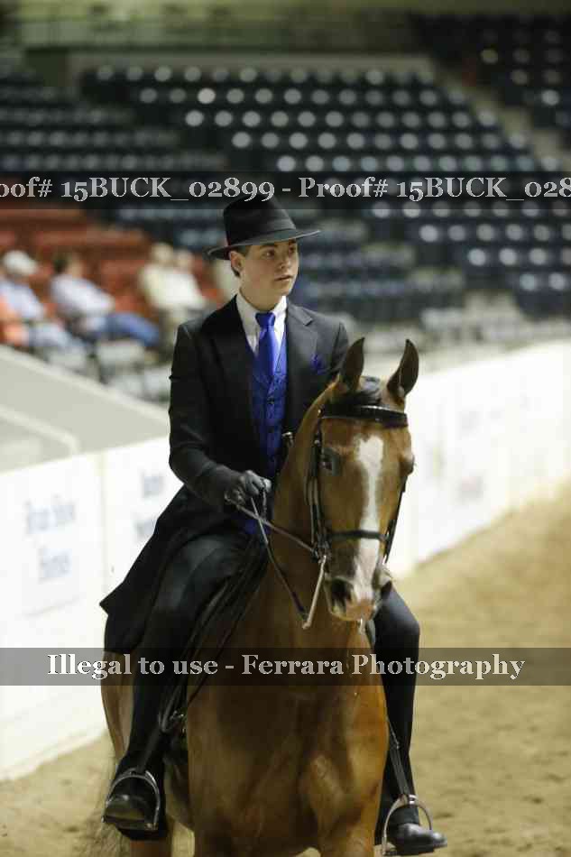 Proof 15BUCK_02899