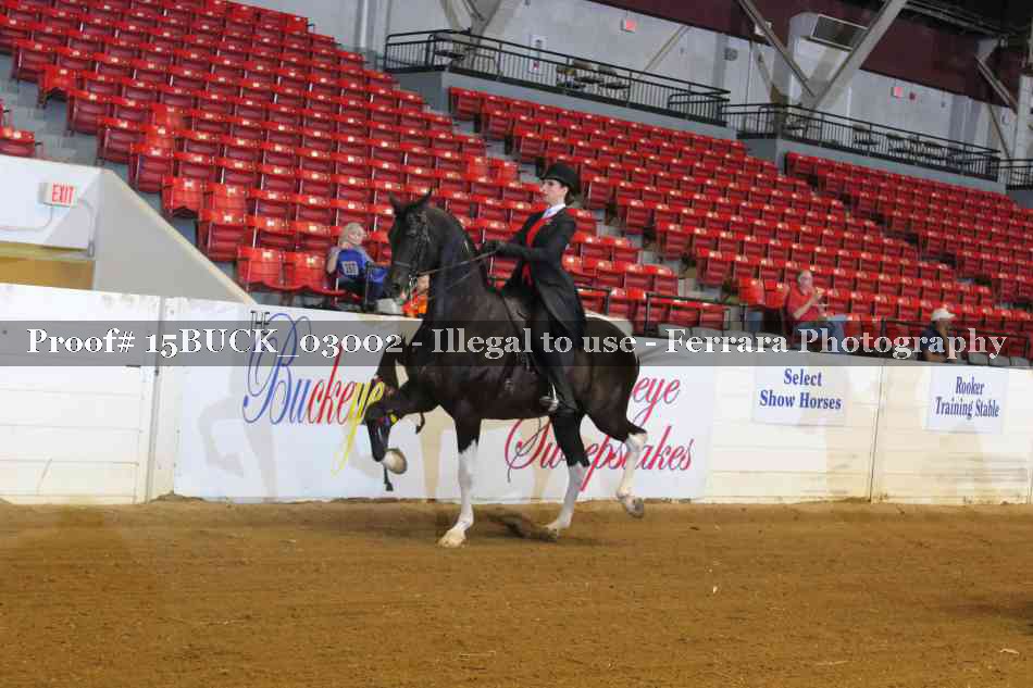 Proof 15BUCK_03002