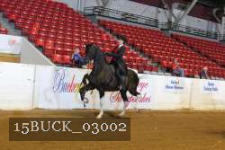 15BUCK_03002 proof