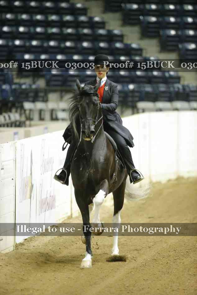 Proof 15BUCK_03003