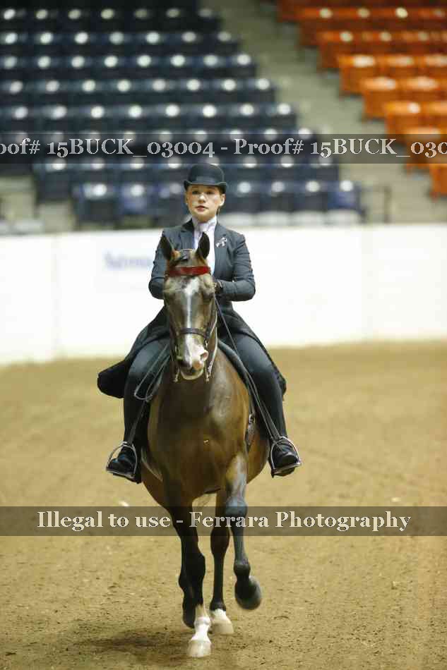 Proof 15BUCK_03004