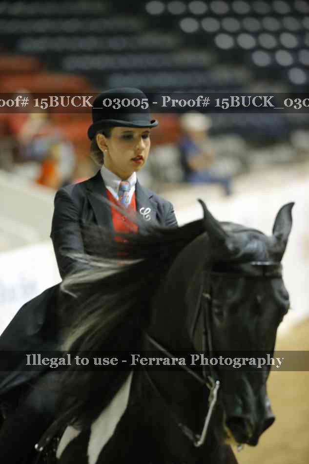 Proof 15BUCK_03005