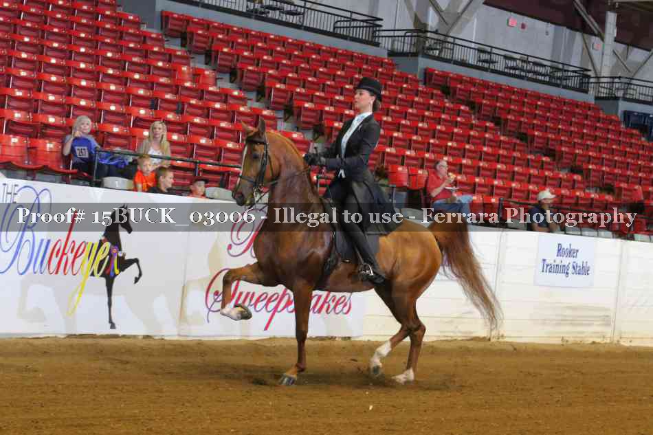 Proof 15BUCK_03006