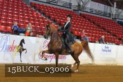 15BUCK_03006 proof