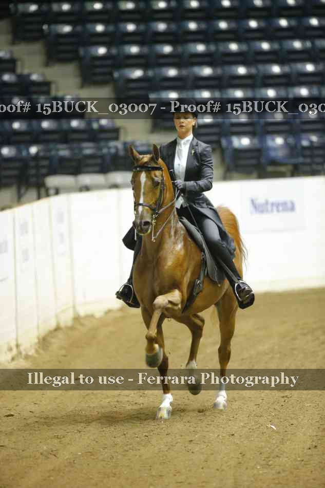 Proof 15BUCK_03007