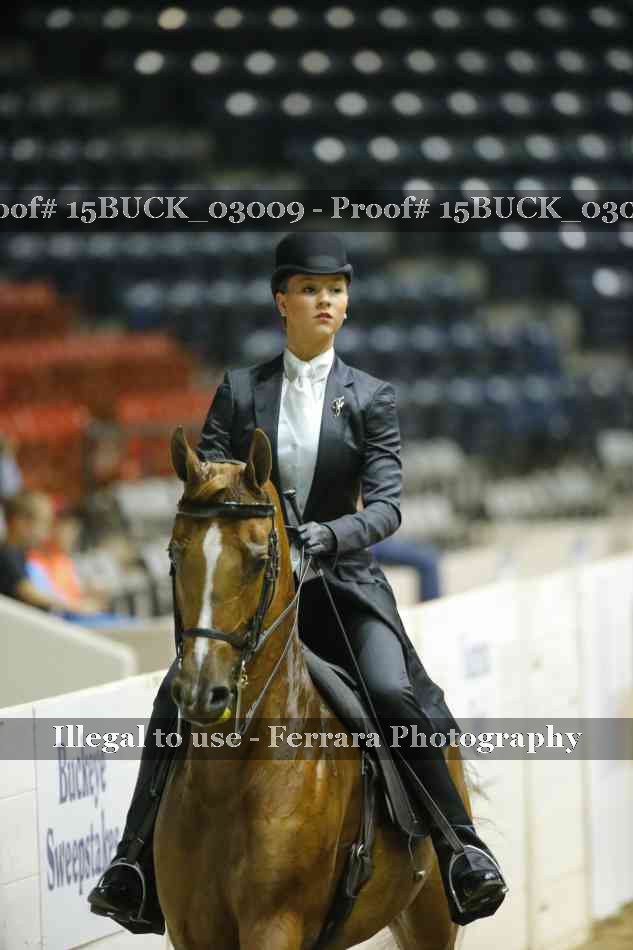 Proof 15BUCK_03009