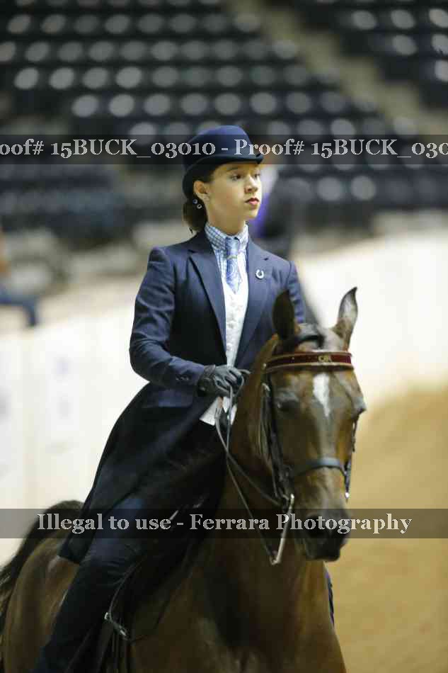 Proof 15BUCK_03010