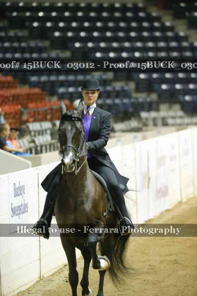 Proof 15BUCK_03012