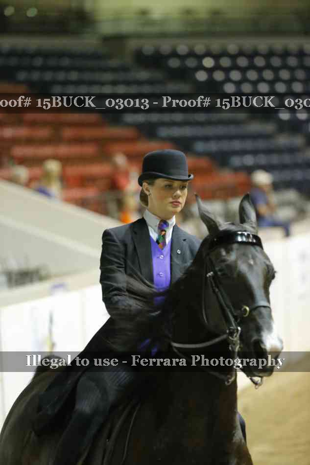 Proof 15BUCK_03013