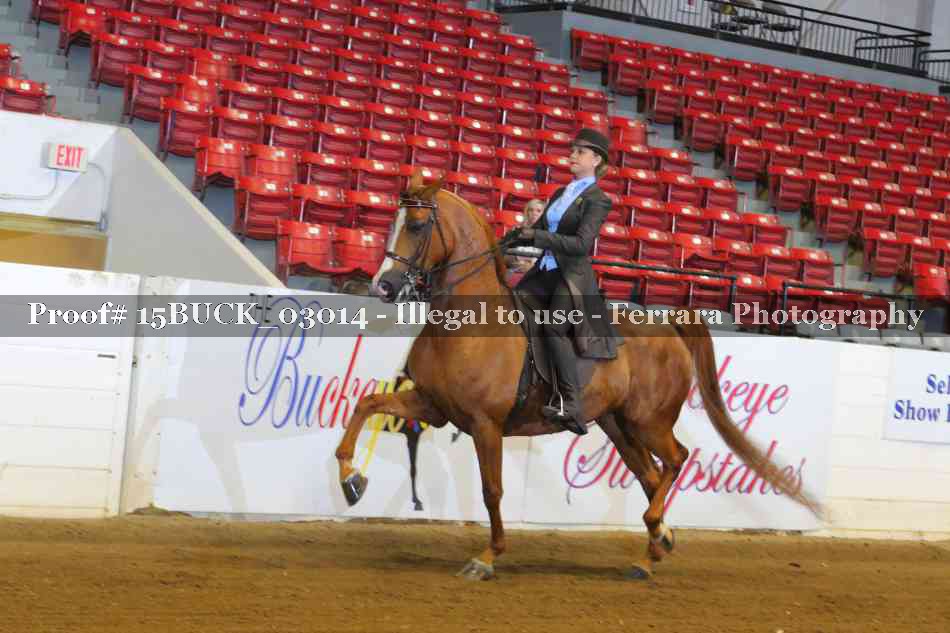 Proof 15BUCK_03014