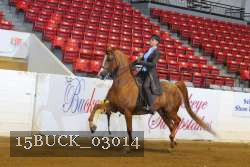 15BUCK_03014 proof