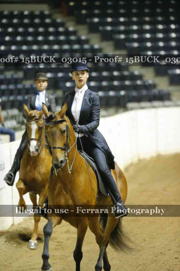 Proof 15BUCK_03015