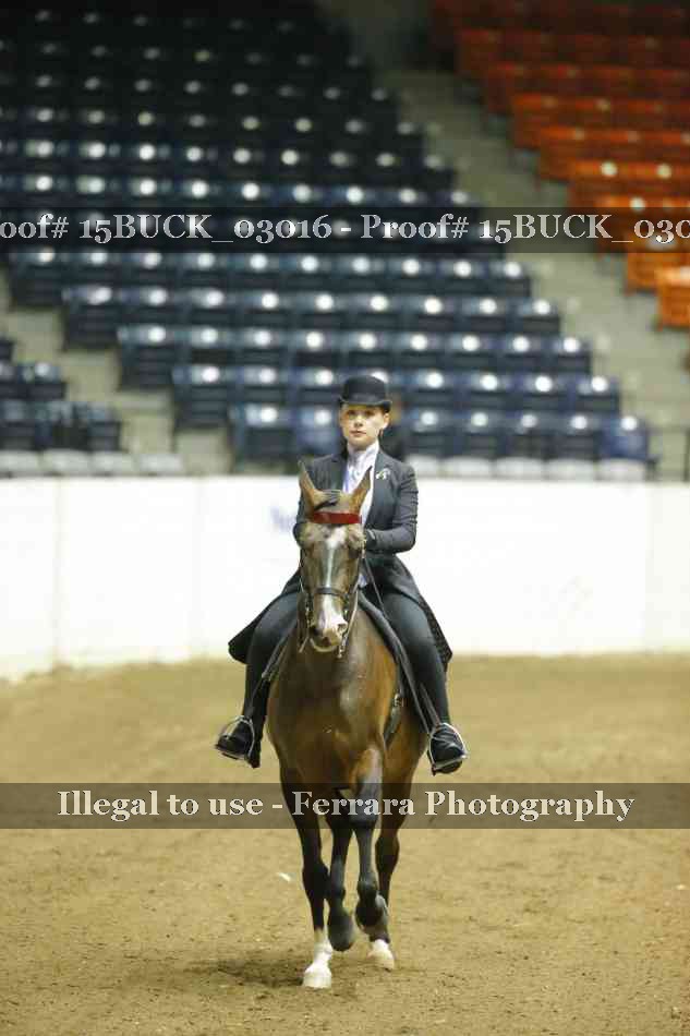 Proof 15BUCK_03016