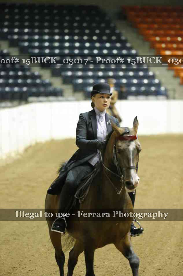 Proof 15BUCK_03017