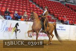 15BUCK_03018 proof