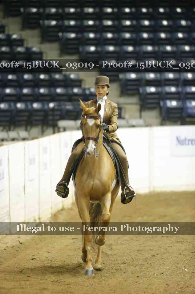 Proof 15BUCK_03019