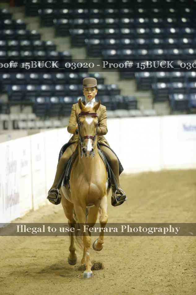 Proof 15BUCK_03020