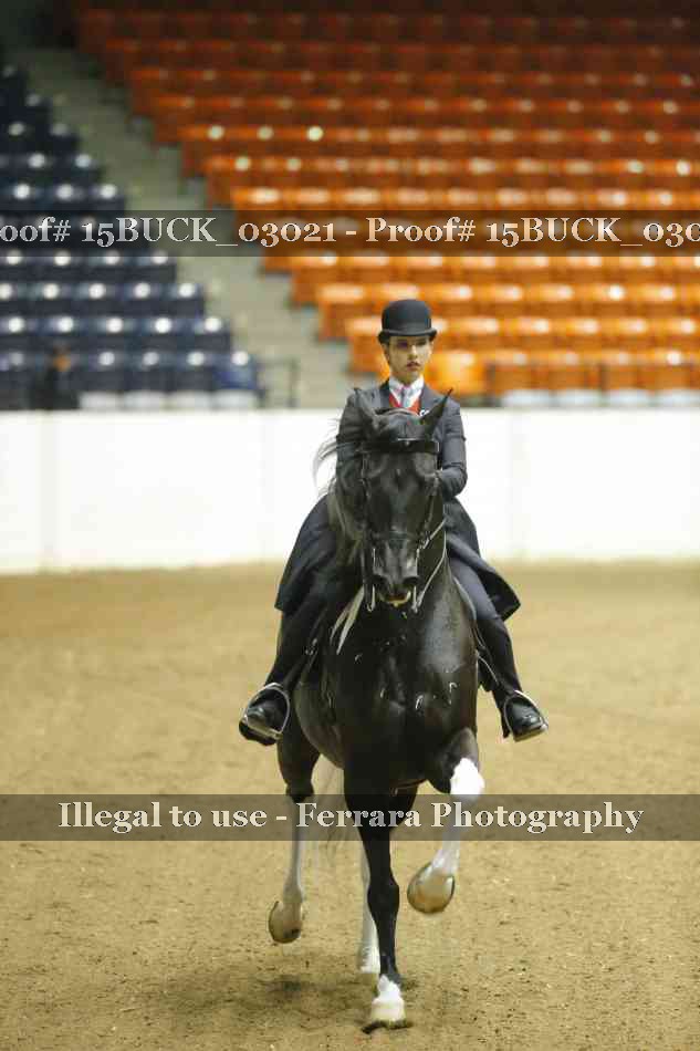 Proof 15BUCK_03021
