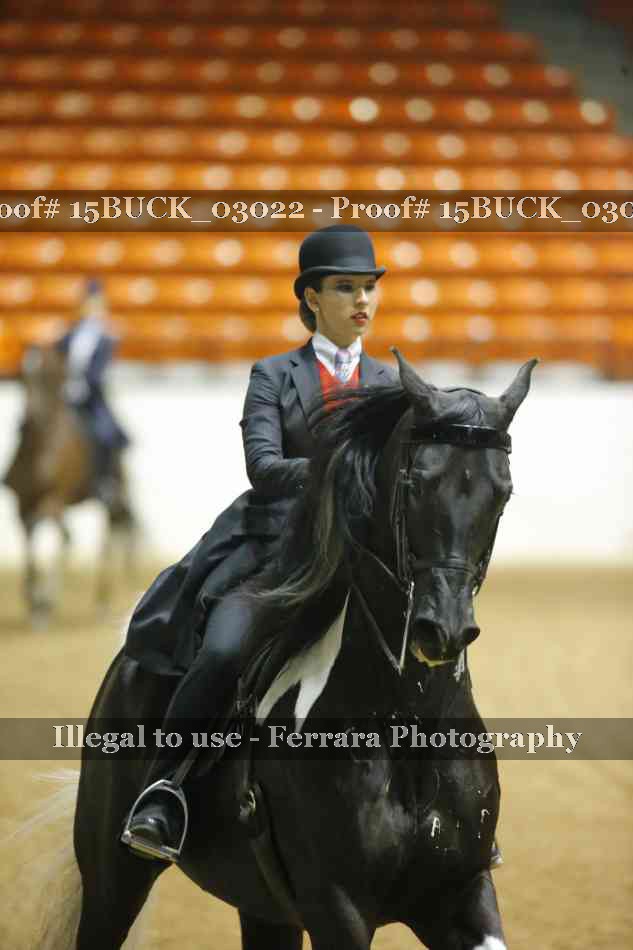 Proof 15BUCK_03022