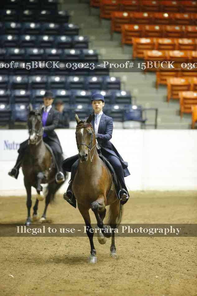 Proof 15BUCK_03023