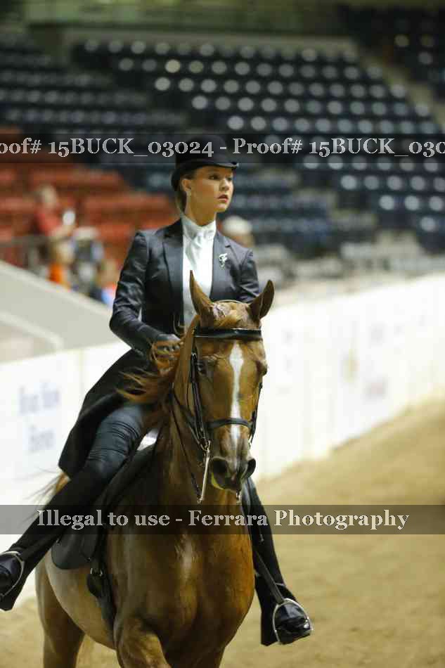 Proof 15BUCK_03024