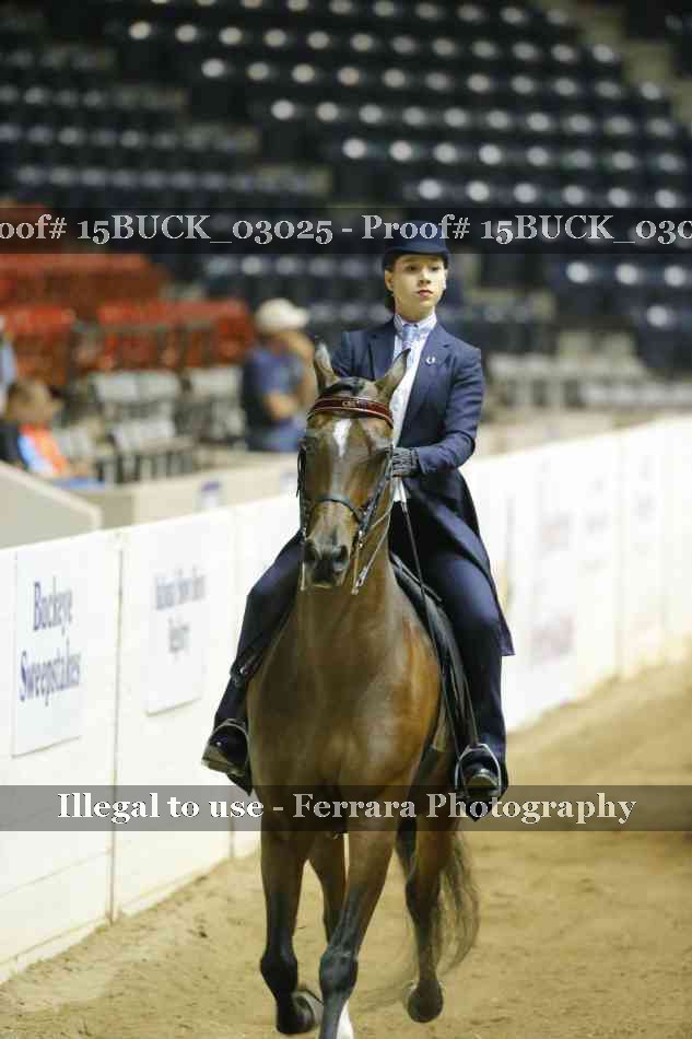 Proof 15BUCK_03025