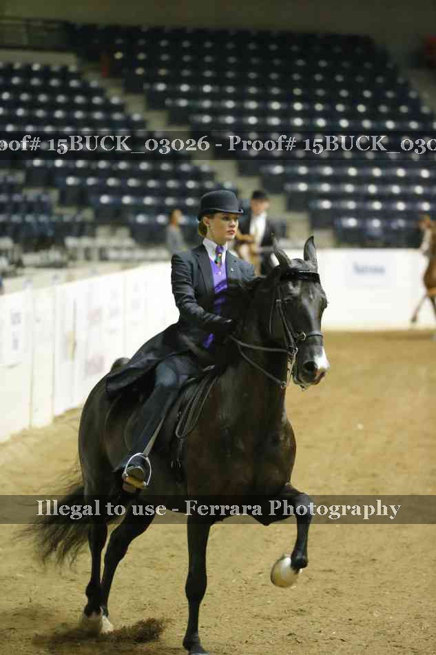 Proof 15BUCK_03026