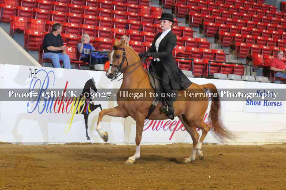 Proof 15BUCK_03027