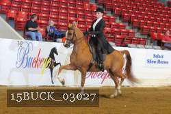 15BUCK_03027 proof