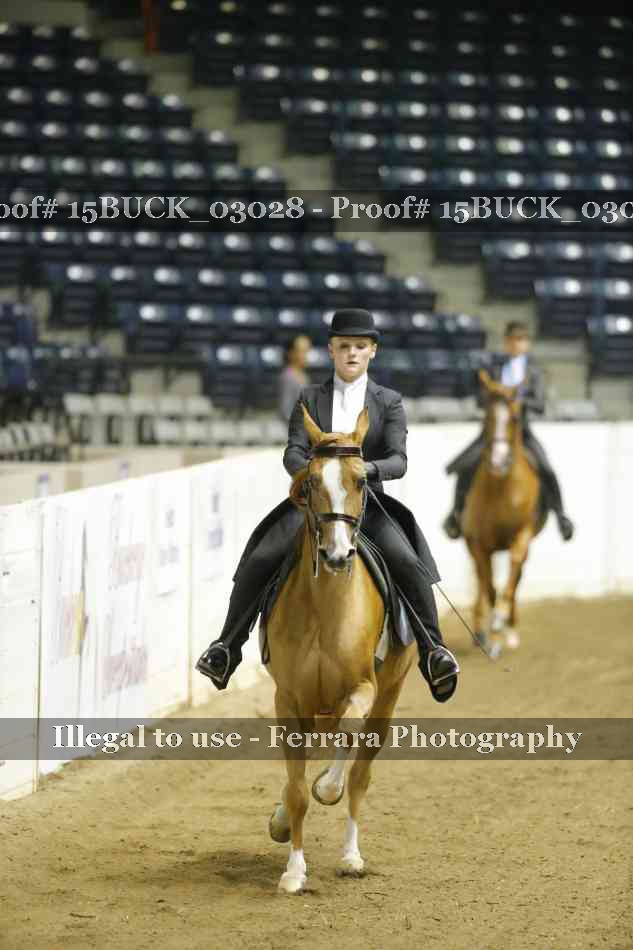Proof 15BUCK_03028