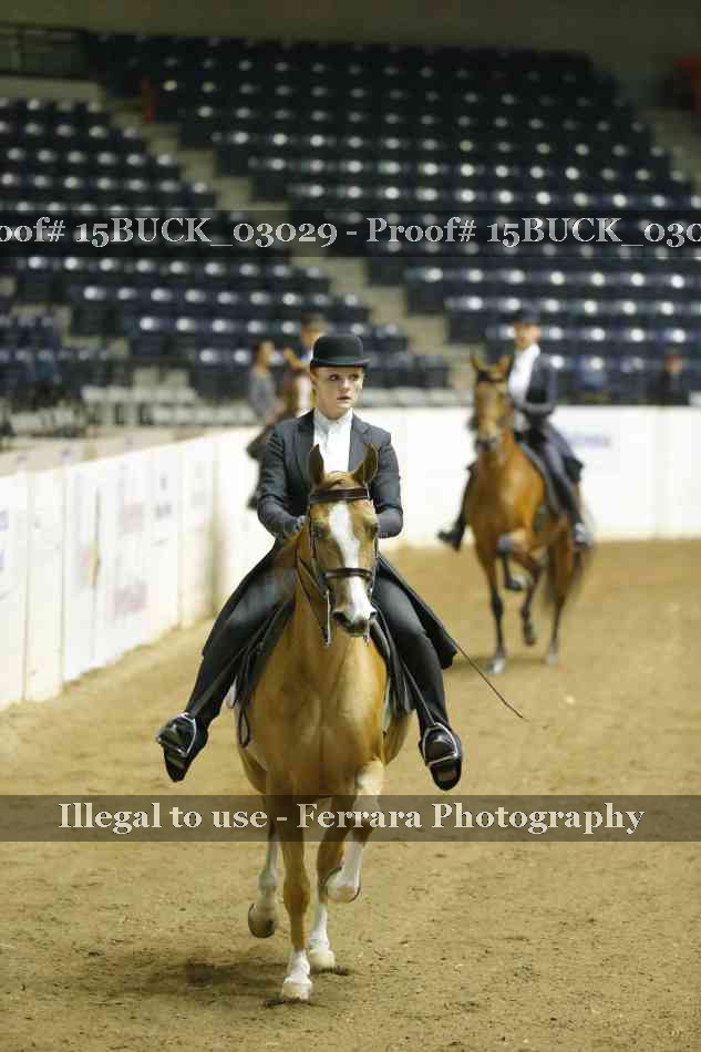 Proof 15BUCK_03029