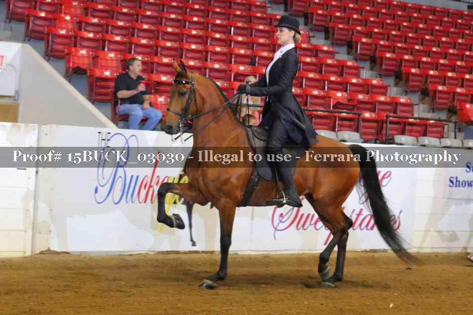 Proof 15BUCK_03030