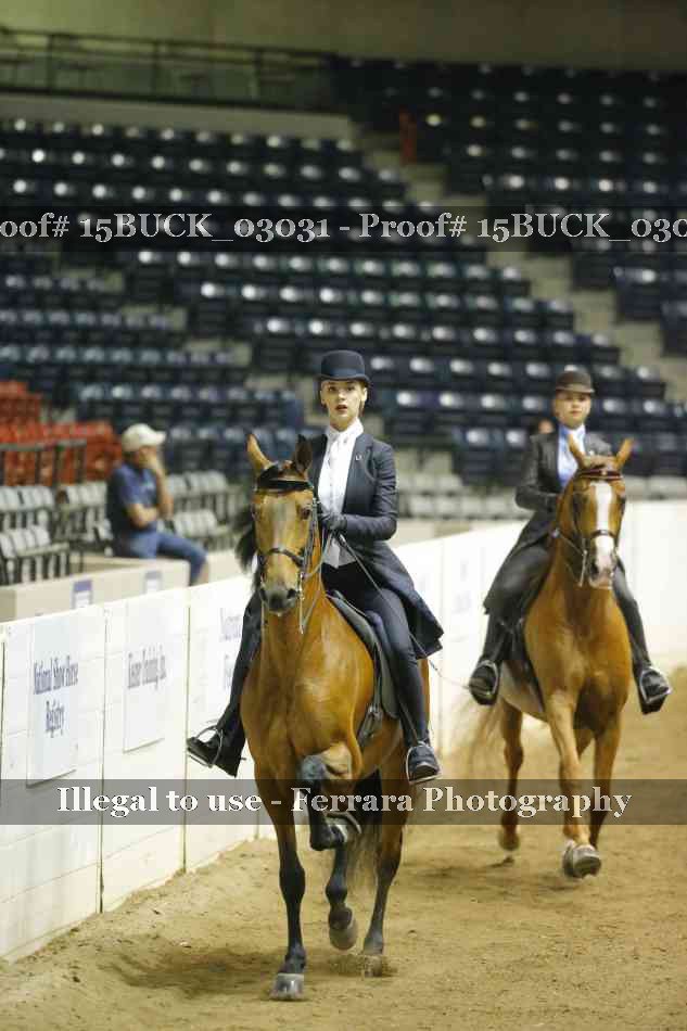 Proof 15BUCK_03031