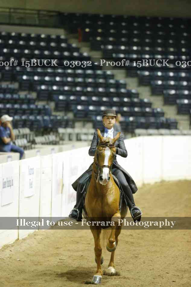 Proof 15BUCK_03032