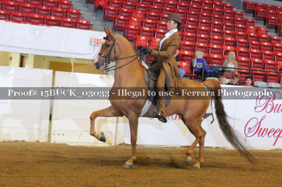 Proof 15BUCK_03033