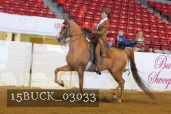15BUCK_03033 proof