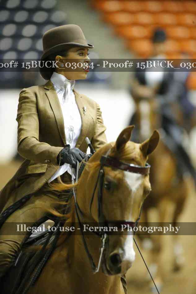 Proof 15BUCK_03034