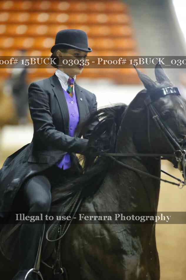 Proof 15BUCK_03035