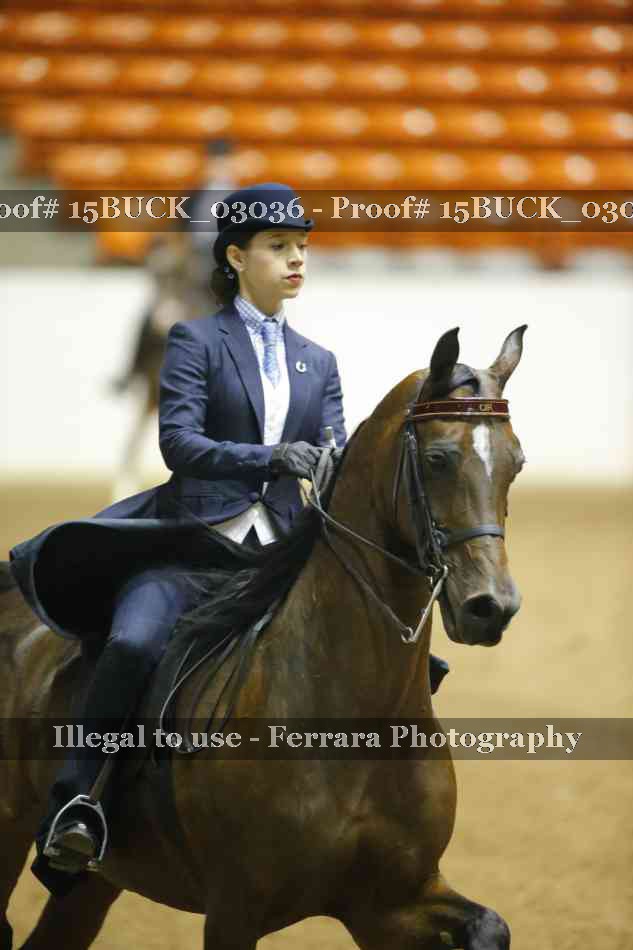 Proof 15BUCK_03036