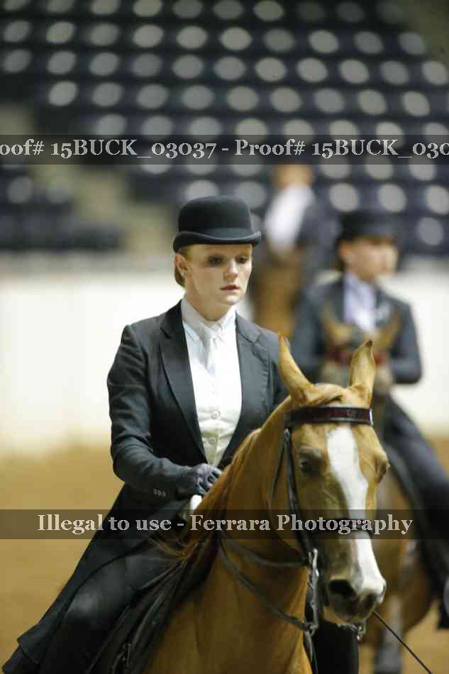 Proof 15BUCK_03037