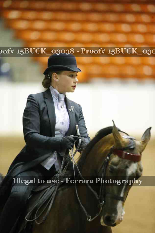 Proof 15BUCK_03038