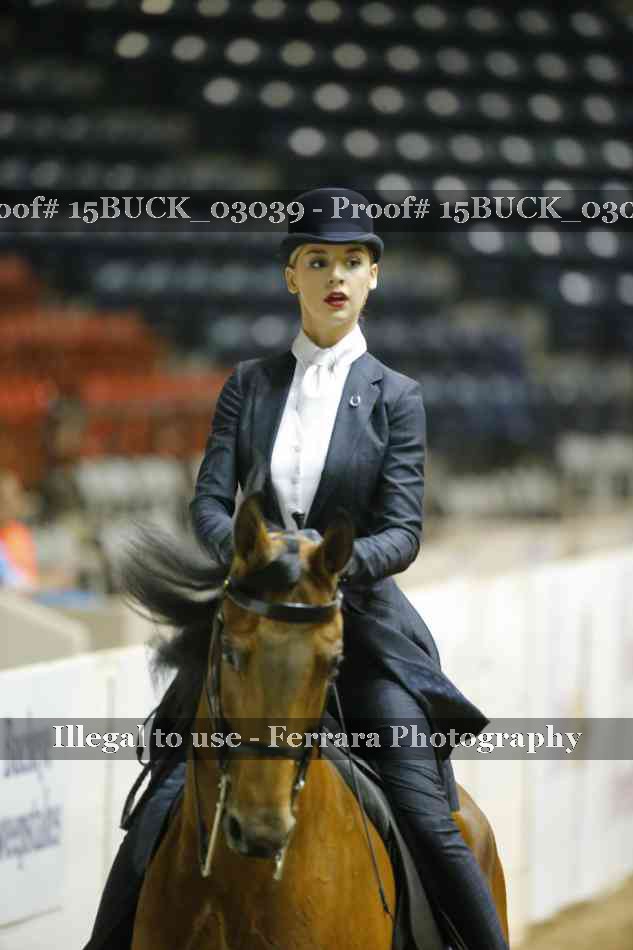 Proof 15BUCK_03039