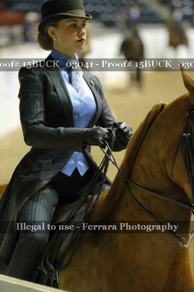 Proof 15BUCK_03041