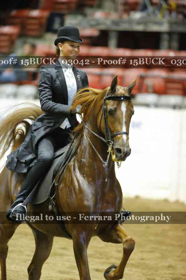 Proof 15BUCK_03042