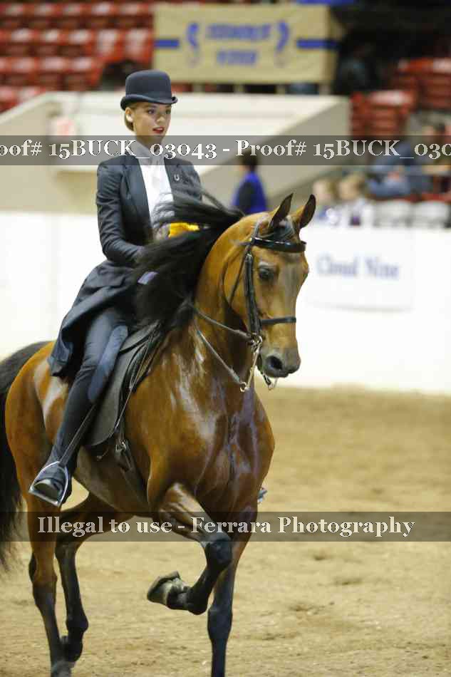 Proof 15BUCK_03043