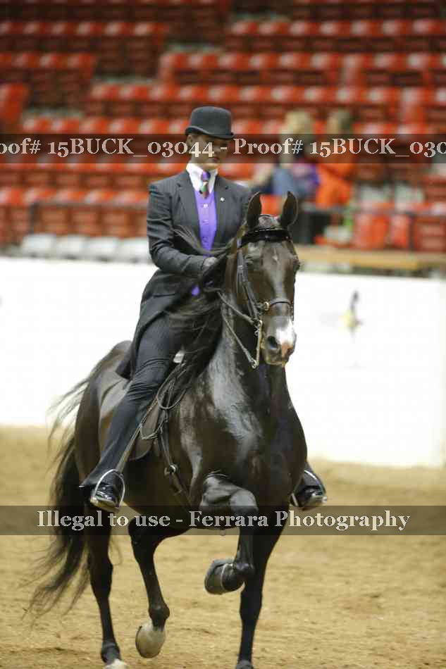 Proof 15BUCK_03044
