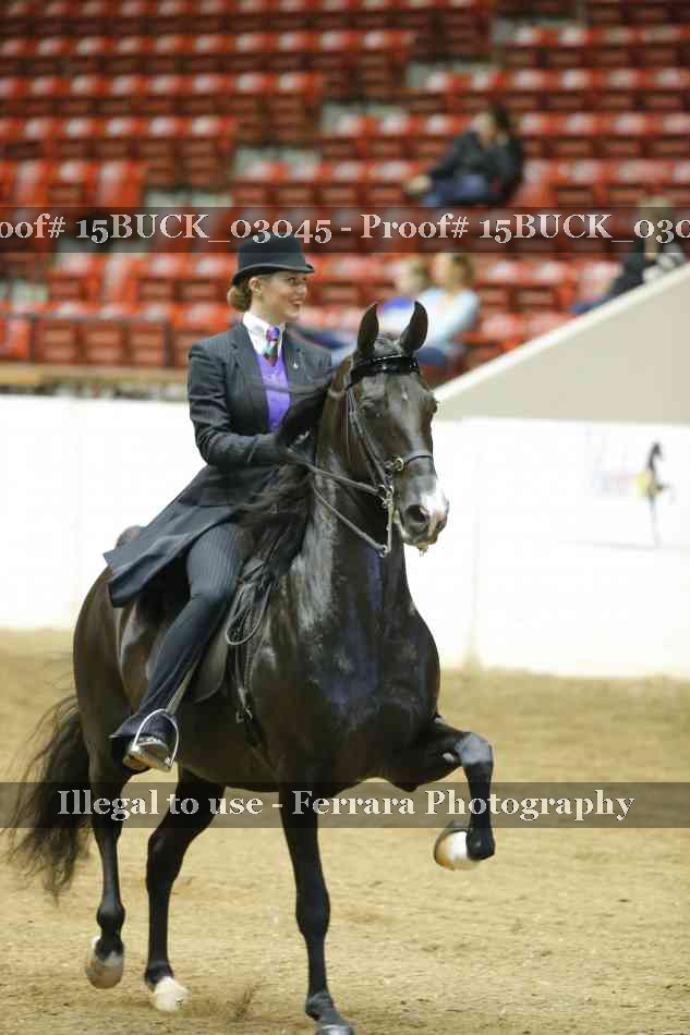 Proof 15BUCK_03045